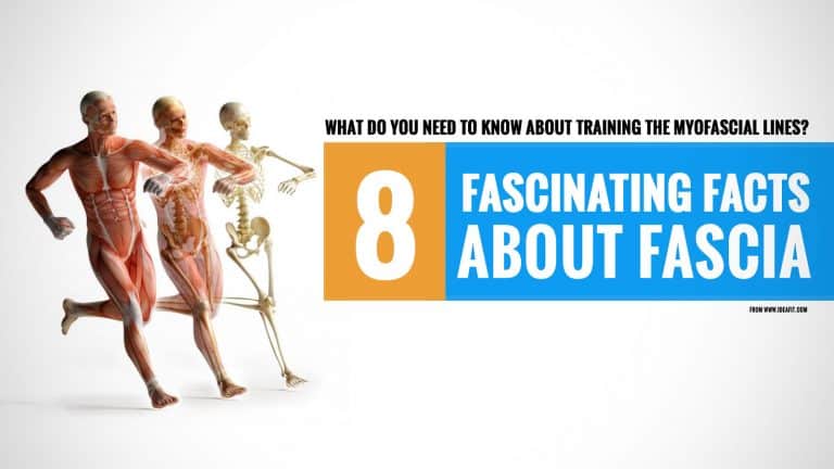 EIGHT FASCINATING FACTS ABOUT FASCIA